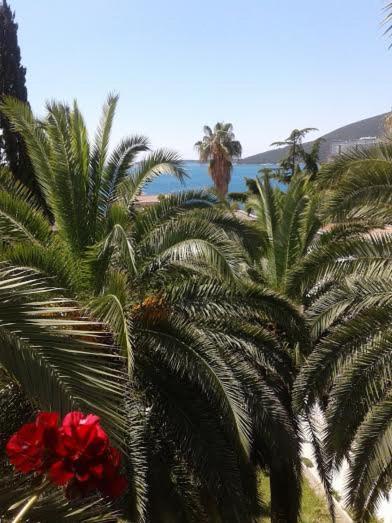 Apartmani I Sobe Goca Herceg Novi Exterior foto